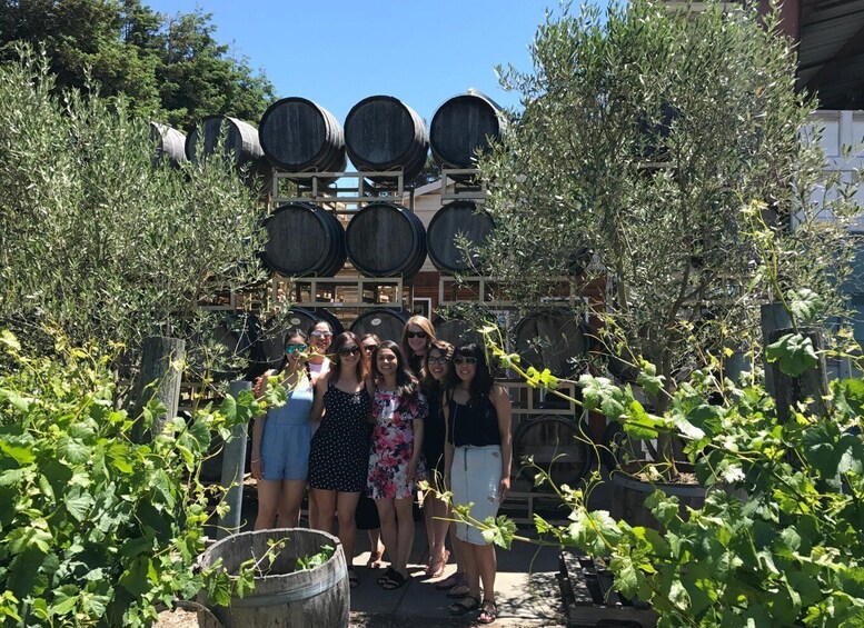 Picture 5 for Activity San Francisco: Small-Group Sonoma Wine Tour with Tastings