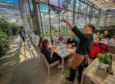 Gyllene Cirkeln & Lunch på Fridheimar Tomatgård- med foton