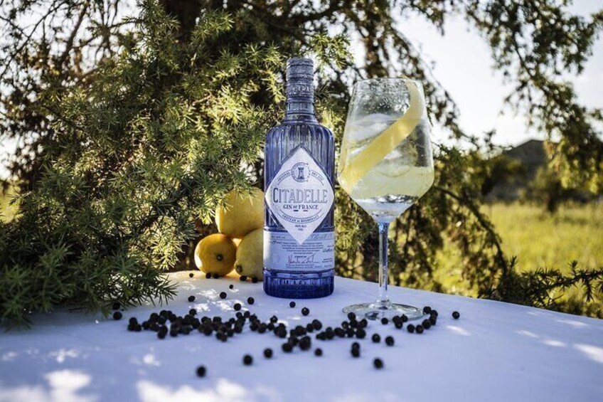 activity on Citadelle Gin Distillery