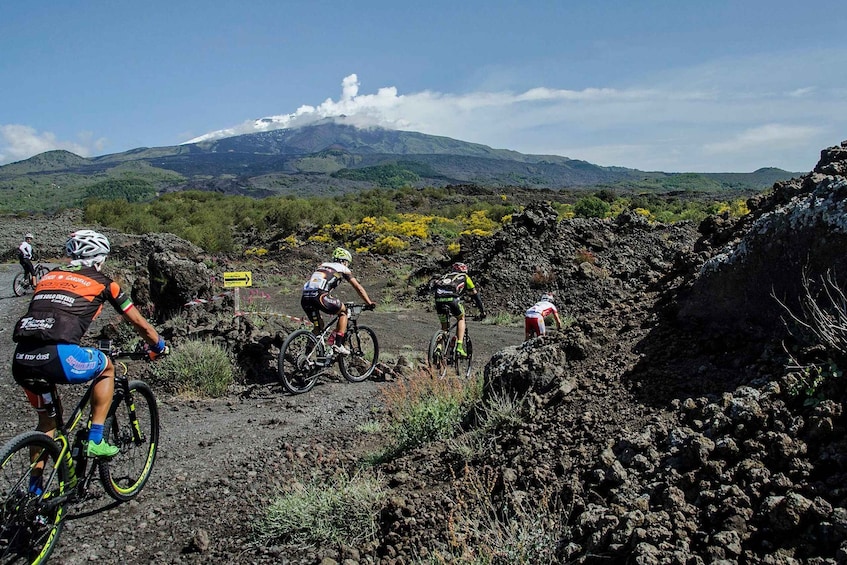 Picture 1 for Activity Etna: Half-Day Mt Etna Mountain Bike Tour