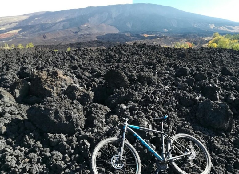 Picture 5 for Activity Etna: Half-Day Mt Etna Mountain Bike Tour