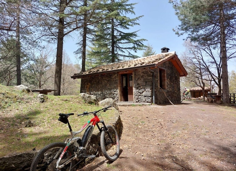 Picture 4 for Activity Etna: Half-Day Mt Etna Mountain Bike Tour