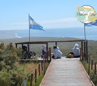 Peninsula Valdes: Shore excursion for cruise passengers