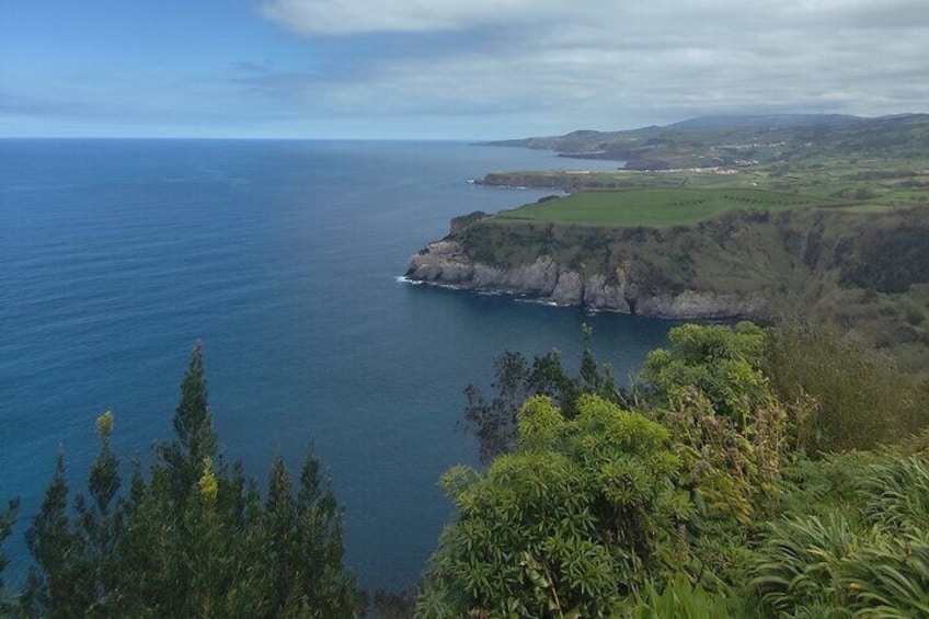 Private Half-Day Tour in Furnas São Miguel Island