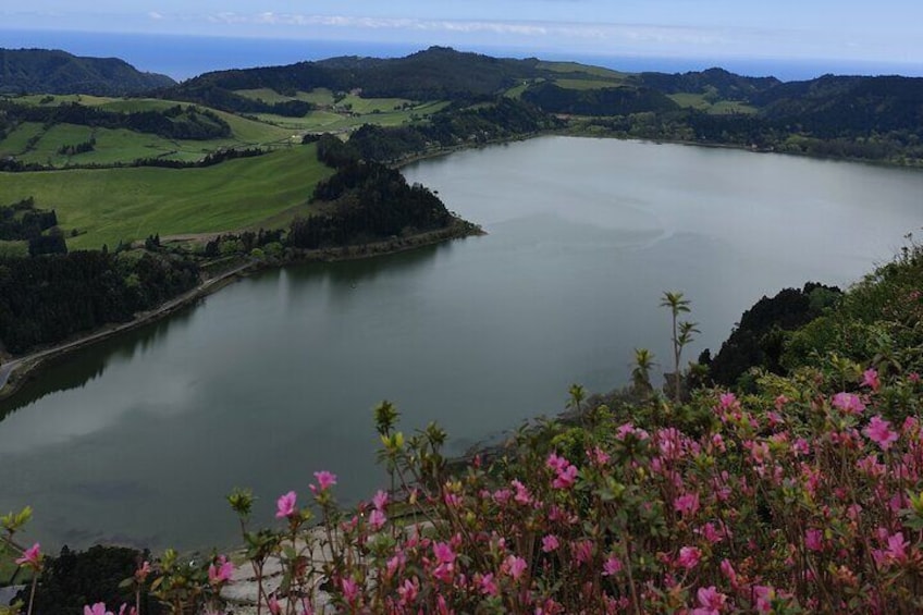 Private Half-Day Tour in Furnas São Miguel Island