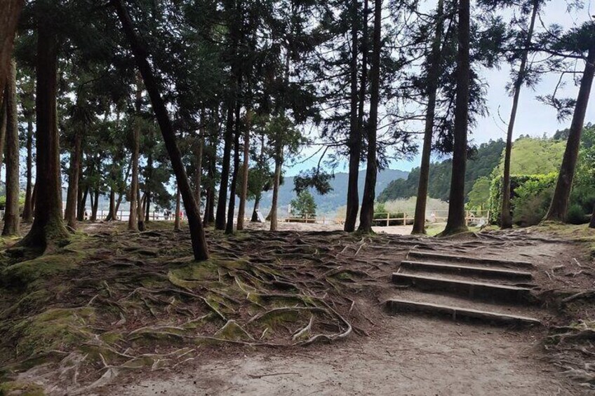 Private Half-Day Tour in Furnas São Miguel Island