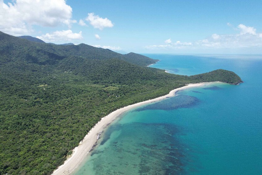 Picture 4 for Activity Daintree: Lower Daintree Crocodile & Wildlife Cruise