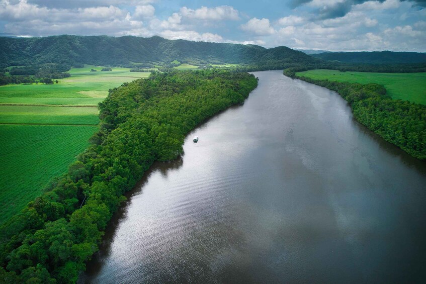 Picture 1 for Activity Daintree: Lower Daintree Crocodile & Wildlife Cruise