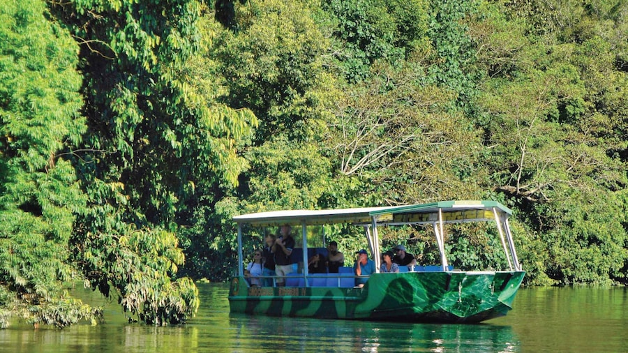 Daintree: Lower Daintree Crocodile & Wildlife Cruise