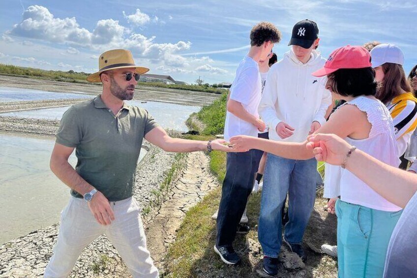 Visit to Saline - Guérande Salt Marshes