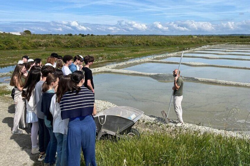 Visit to Saline - Guérande Salt Marshes