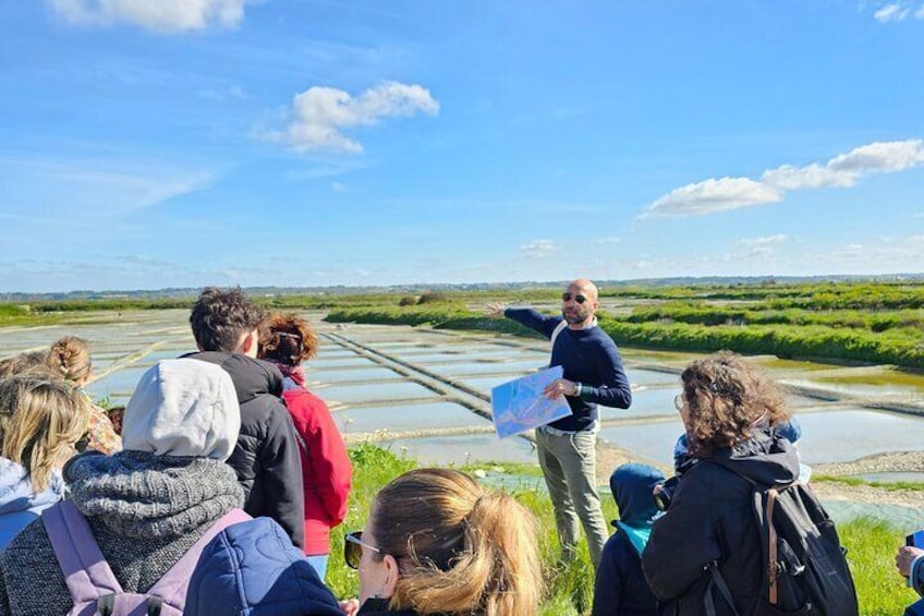 Visit to Saline - Guérande Salt Marshes