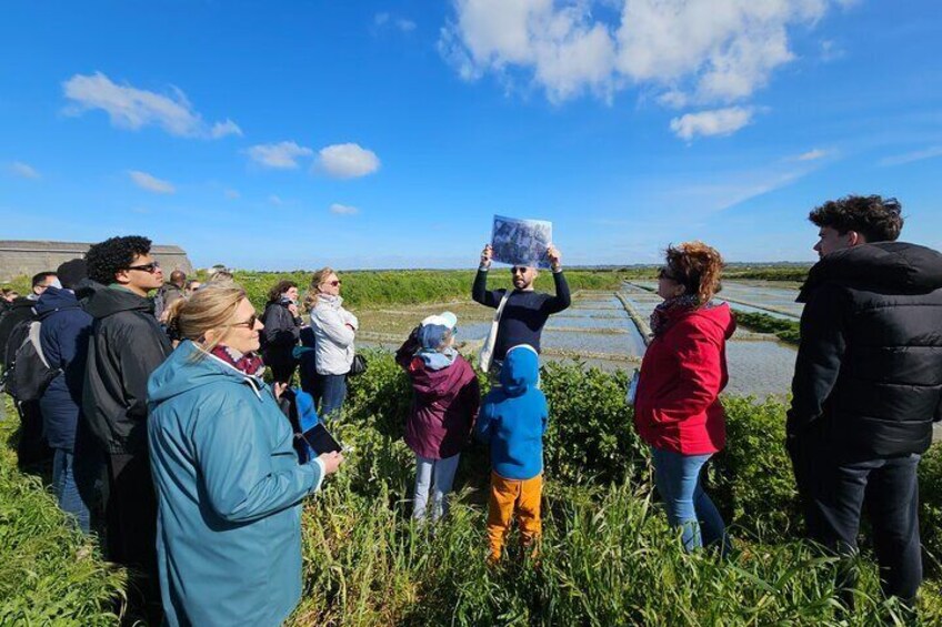 Visit to Saline - Guérande Salt Marshes