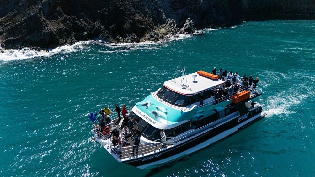 Picture 6 for Activity Akaroa Harbour 2-Hour Dolphin Nature Cruise