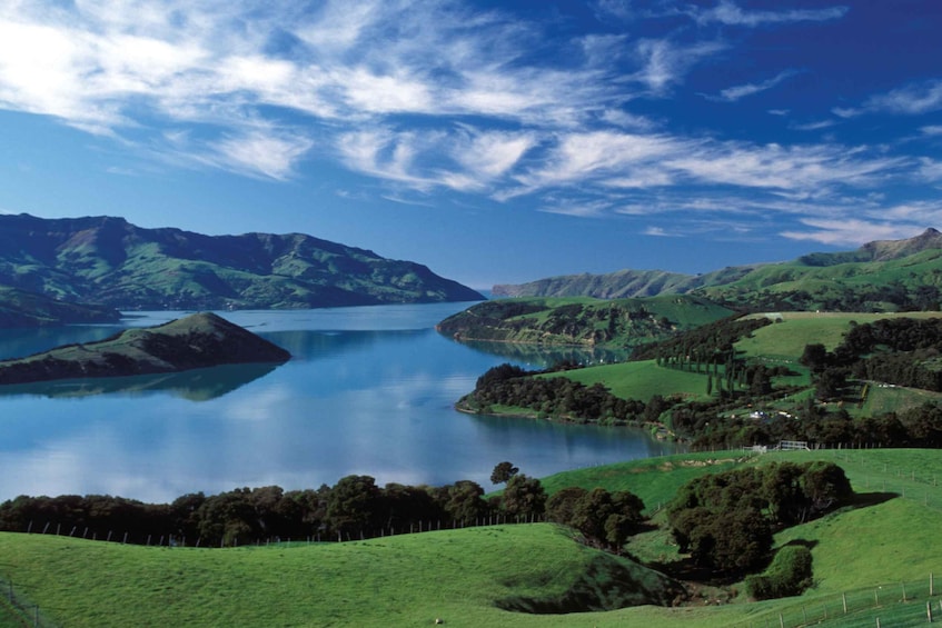 Picture 1 for Activity Akaroa Harbour 2-Hour Nature Cruise