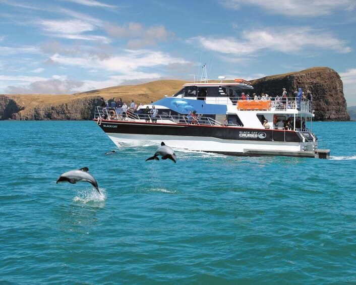 Akaroa Harbour 2-Hour Nature Cruise