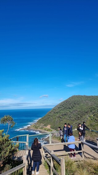 Picture 2 for Activity Private and Luxury Great Ocean Road and 12 Apostles Day Tour