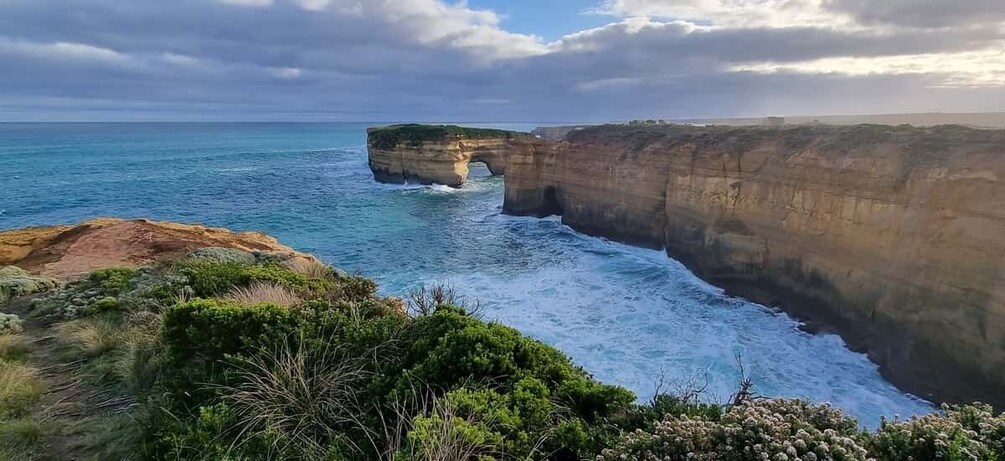 Picture 4 for Activity Private and Luxury Great Ocean Road and 12 Apostles Day Tour