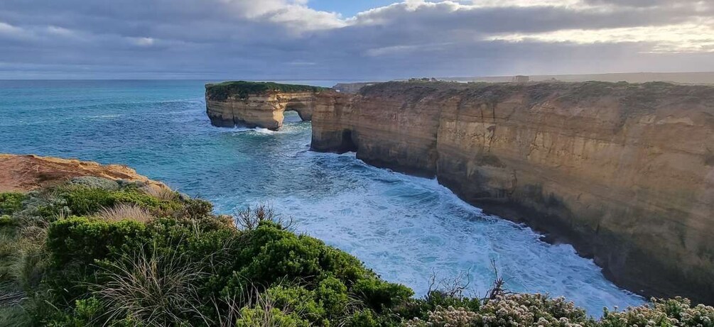 Picture 4 for Activity Private and Luxury Great Ocean Road and 12 Apostles Day Tour