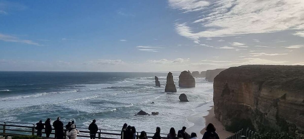 Picture 1 for Activity Private and Luxury Great Ocean Road and 12 Apostles Day Tour