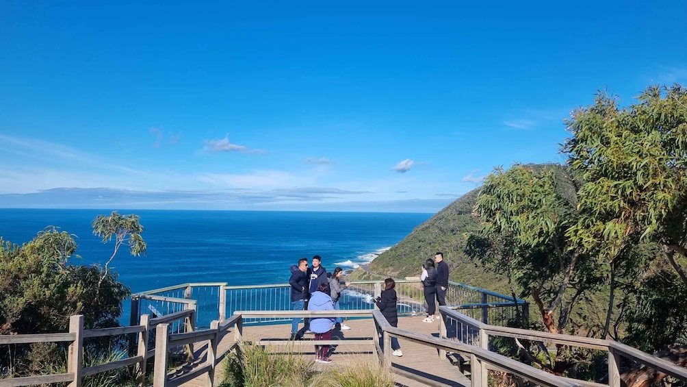 Picture 5 for Activity Private and Luxury Great Ocean Road and 12 Apostles Day Tour