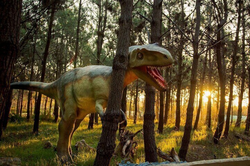 The-Amity-Family-Tours-And-Activities-Lourinha-Portugal-Theme-Park-Dinosaurs-Children-Sunset