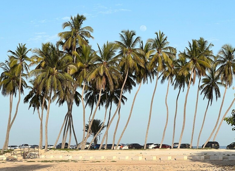 Picture 1 for Activity Historical Salalah City Tour with Culture, Food & Shopping