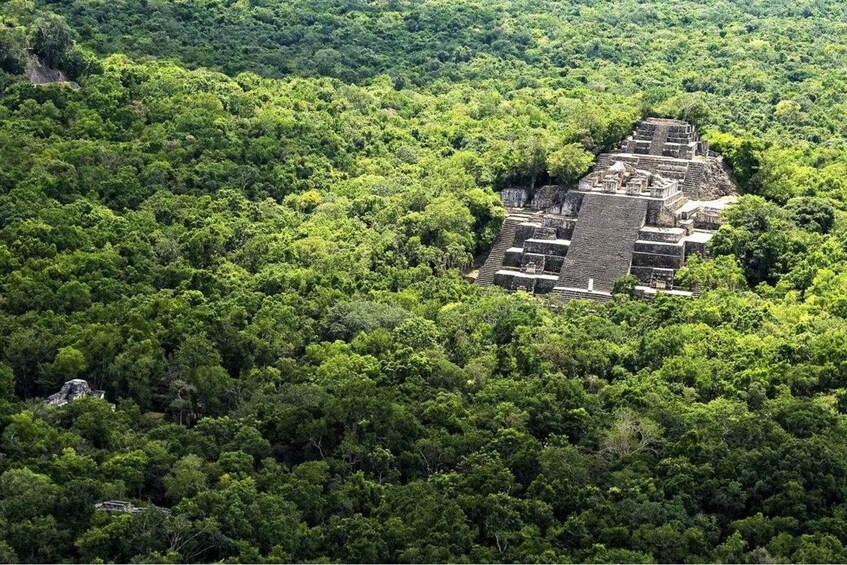 Picture 2 for Activity Desde Palenque: Zona Arqueológica Calakmul