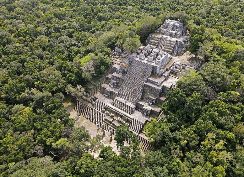 Desde Palenque: Zona Arqueológica Calakmul