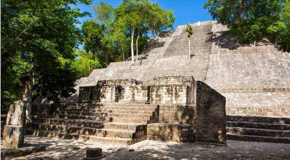 Picture 1 for Activity Desde Palenque: Zona Arqueológica Calakmul