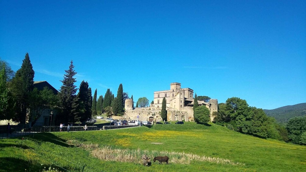 Picture 8 for Activity From Aix : Hilltop Villages in Luberon