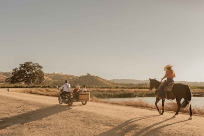 Paso Robles: Vineyard Rides Wine Adventure