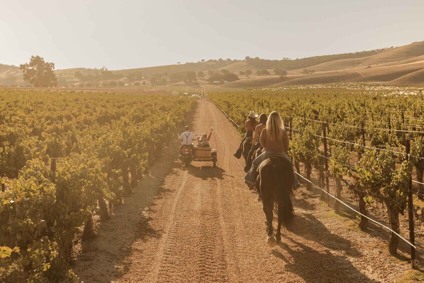 Picture 1 for Activity Paso Robles: Vineyard Rides Wine Adventure