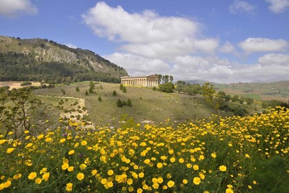 Sizilien: Segesta Ticket, Shuttle Service & City Audio Tour