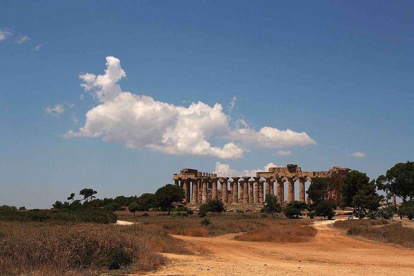 Picture 2 for Activity Segesta: Skip-the-line entry ticket with Shuttle Service