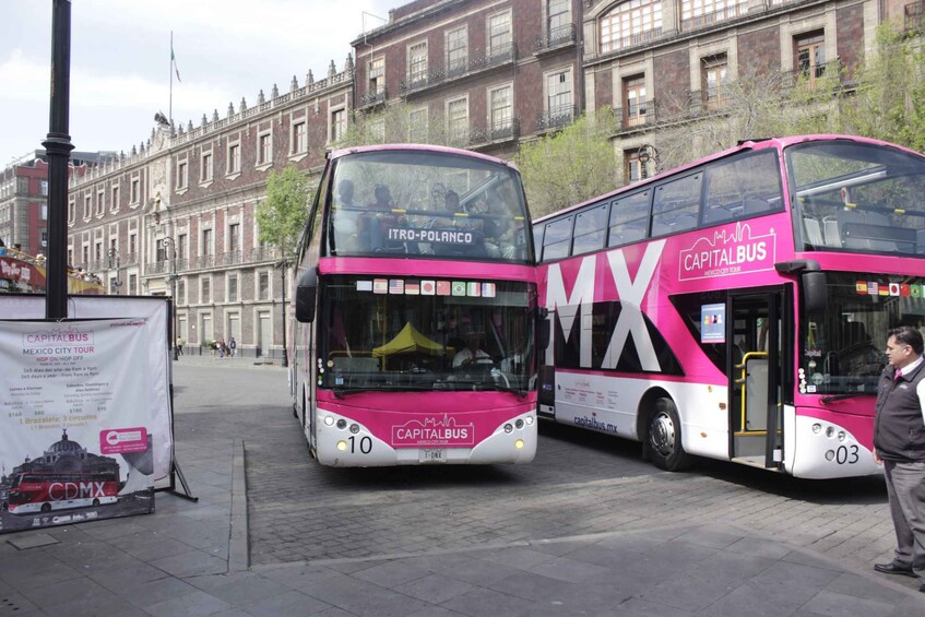 Picture 22 for Activity Mexico City: Hop-On Hop-Off Bus City Tour
