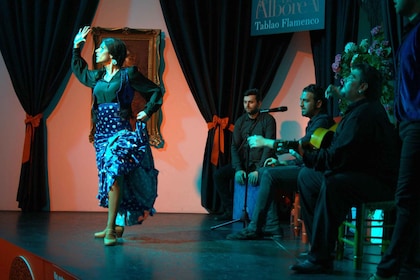 Espectáculo de flamenco auténtico de 1 hora en Granada