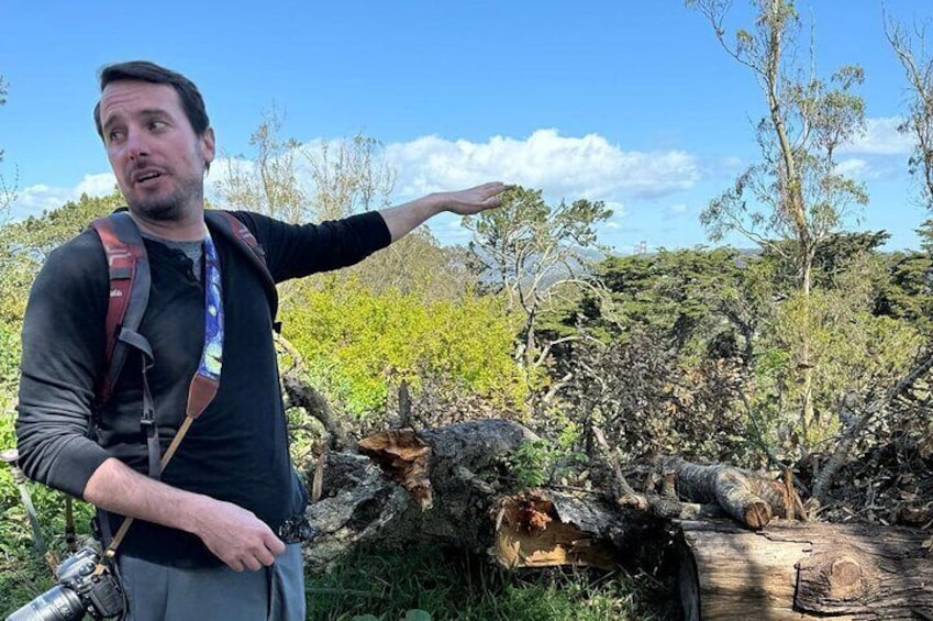 Tour Guide pointing out the local wildlife