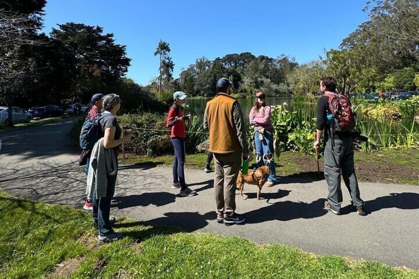 Golden Gate Park Bird Life Walking Tour