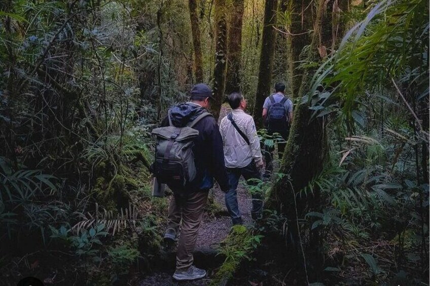 Day Trip to Kinabalu Park and Poring Hot Spring Guided Tour