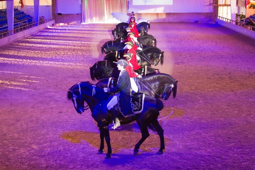 Picture 2 for Activity Menorca: San Martorellet Equestrian Show Tickets