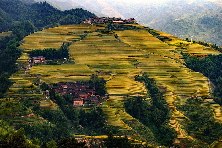 Picture 1 for Activity Longsheng Ethnic Minority & Rice Terraces Full-Day Tour