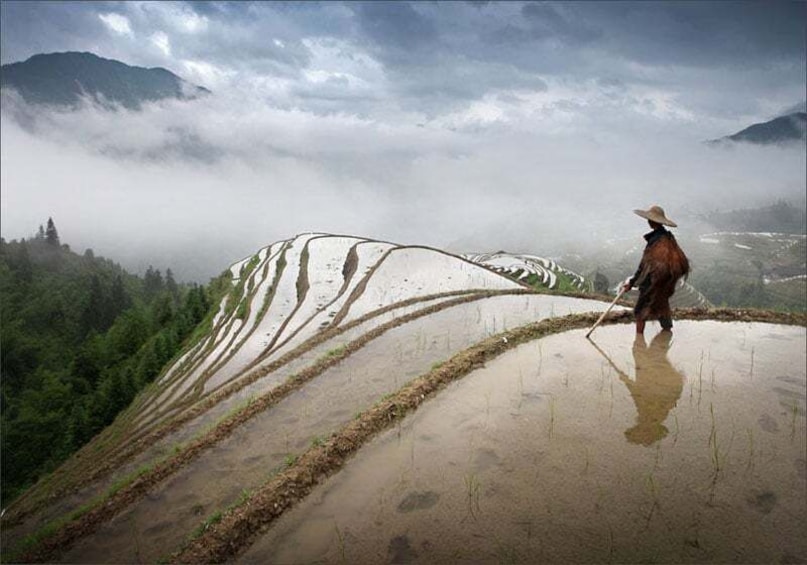 Picture 3 for Activity Longsheng Ethnic Minority & Rice Terraces Full-Day Tour