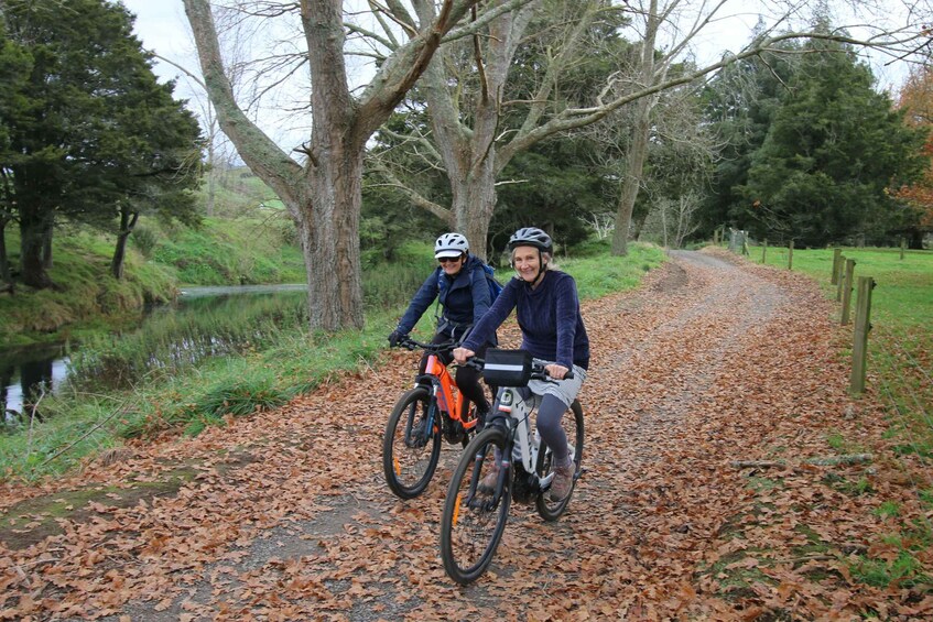 Picture 1 for Activity Full Day Ebike Tour - Karangahake Gorge NZ