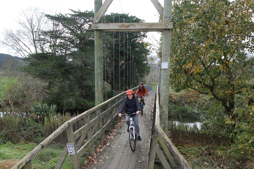 Picture 4 for Activity Full Day Ebike Tour - Karangahake Gorge NZ