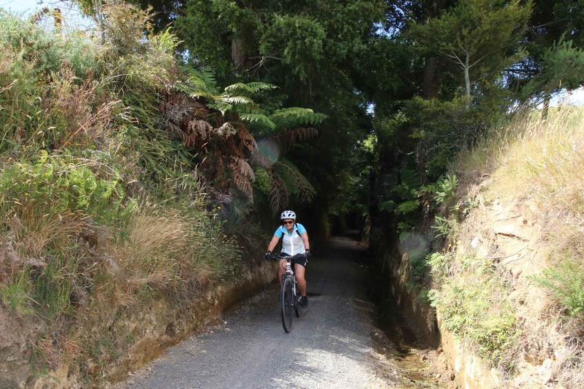 Picture 2 for Activity Full Day Ebike Tour - Karangahake Gorge NZ