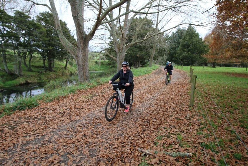 Picture 5 for Activity Full Day Ebike Tour - Karangahake Gorge NZ