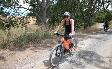 Visite de vélo électrique d’une journée complète - Karangahake Gorge NZ