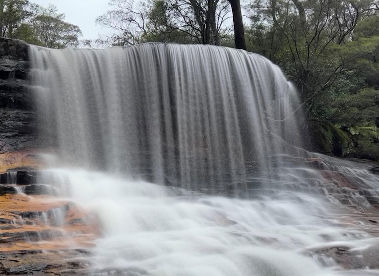 Picture 3 for Activity Sydney: Blue Mountains National Park Tour with River Cruise