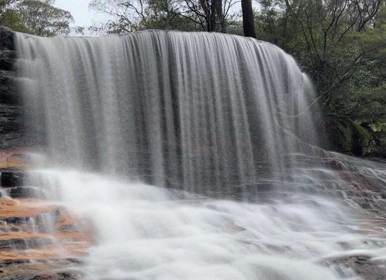 Picture 3 for Activity Sydney: Blue Mountains National Park Tour with River Cruise